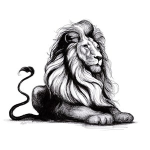 Leone, disegno di animali, stampa artistica della natura, disegno a inchiostro, decorazione murale, regalo, stampe disponibili in molti formati!