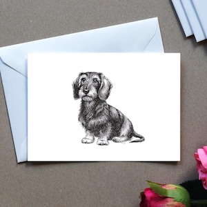 Carte de voeux, teckel, dessin animalier nature, carte d'art, cadeau, carte anniversaire, carte postale, illustration, impression en A6