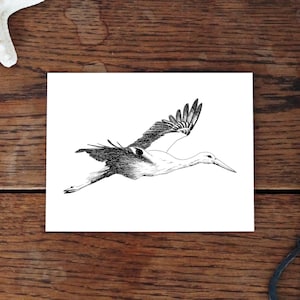 Carte de voeux, cigogne, animal dessin nature, carte d'art, cadeau, carte anniversaire, carte postale, naissance, baptême, illustration, impression en A6