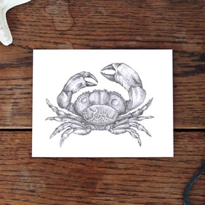 Carte postale, cancer, animal dessin nature, carte d'art, cadeau, carte anniversaire, carte de voeux, illustration, print en A6