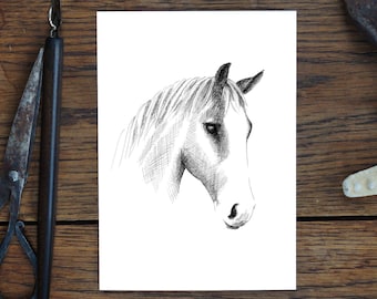 Biglietto di auguri, cavallo, disegno di animali, natura, biglietto d'arte, regalo, biglietto di compleanno, cartolina, illustrazione, stampa in formato A6