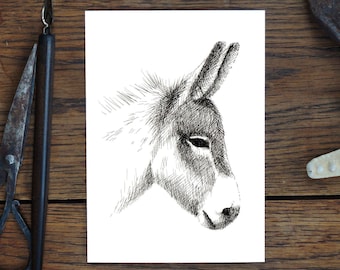 Carte de voeux, âne, dessin animalier nature, carte d'art, cadeau, carte d'anniversaire, carte postale, illustration, impression en A6