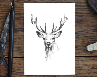 Carte de voeux, cerf, dessin animalier nature, carte d'art, cadeau, carte d'anniversaire, carte postale, illustration, impression en A6