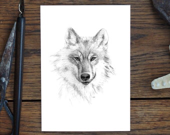 Carte de voeux, loup, dessin animalier nature, carte d'art, cadeau, carte d'anniversaire, carte postale, illustration, impression en A6