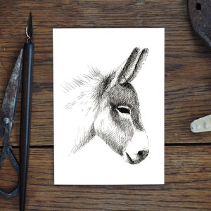 Grußkarte, Esel, Tier-Zeichnung Natur, Kunstkarte, Geschenk, Geburtstagskarte, Postkarte, Illustration, Druck in A6