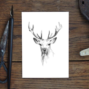 Grußkarte, Hirsch, Tier-Zeichnung Natur, Kunstkarte, Geschenk, Geburtstagskarte, Postkarte, Illustration, Druck in A6