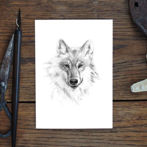 Grußkarte, Wolf, Tier-Zeichnung Natur, Kunstkarte, Geschenk, Geburtstagskarte, Postkarte, Illustration, Druck in A6