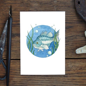 Grußkarte, Fisch, Tier-Zeichnung Natur, Kunstkarte, Aquarell, Geschenk, Geburtstagskarte, Postkarte, Illustration, Druck in A6