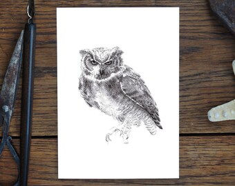 Carte de voeux, chouette, animal dessin nature, carte d'art, cadeau, carte anniversaire, carte postale, illustration, print en A6