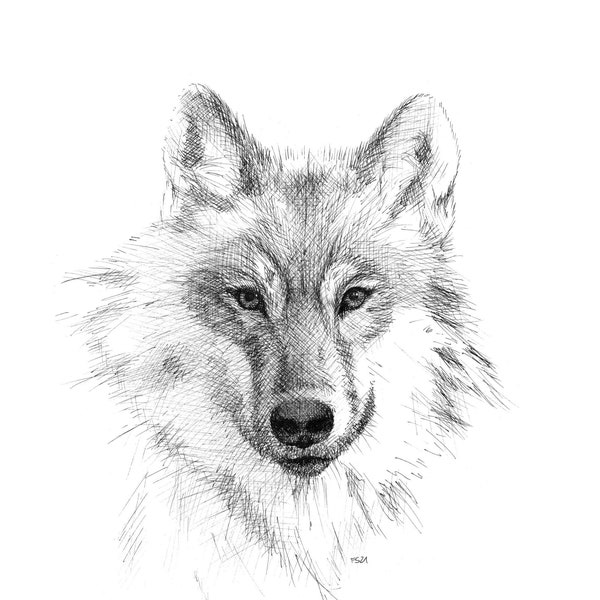 Wolf, Tier-Zeichnung, Kunstdruck Natur, Tuschezeichnung, Geschenk, Drucke in vielen Formaten erhältlich!