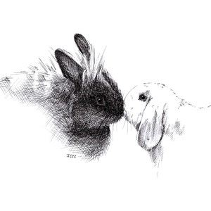 Carte de voeux, lapin, lapin, animal dessin nature, carte d'art, cadeau, carte anniversaire, carte postale, illustration, print en A6 image 2