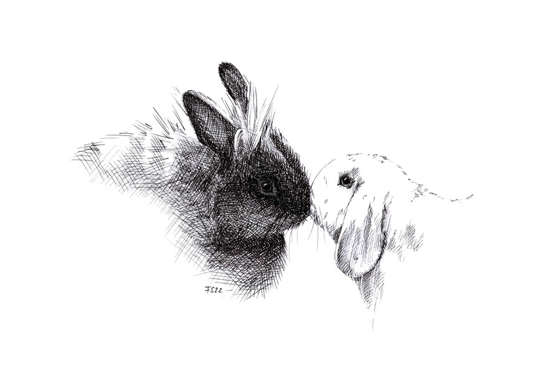 Carte de voeux, lapin, lapin, animal dessin nature, carte d'art, cadeau, carte anniversaire, carte postale, illustration, print en A6 image 2