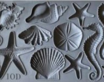 Seashells 6x10" Decor Mould by Iron Orchid Designs