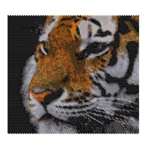 May include: Close-up of a tiger's face, with orange, black and white stripes. The tiger's eyes are closed, and its nose is pink.