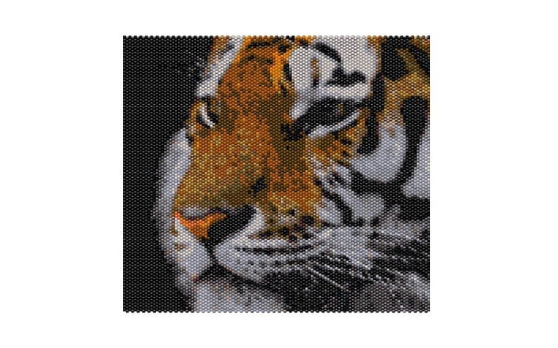 May include: Close-up of a tiger's face, with orange, black and white stripes. The tiger's eyes are closed, and its nose is pink.
