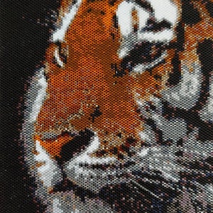 May include: Close-up of a tiger's face created from small, colourful beads. The tiger's orange and black stripes are visible, as well as its white whiskers.