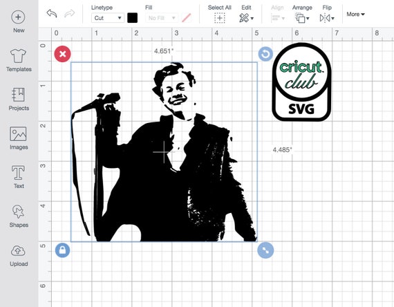 Featured image of post Harry Styles Svg Cricut