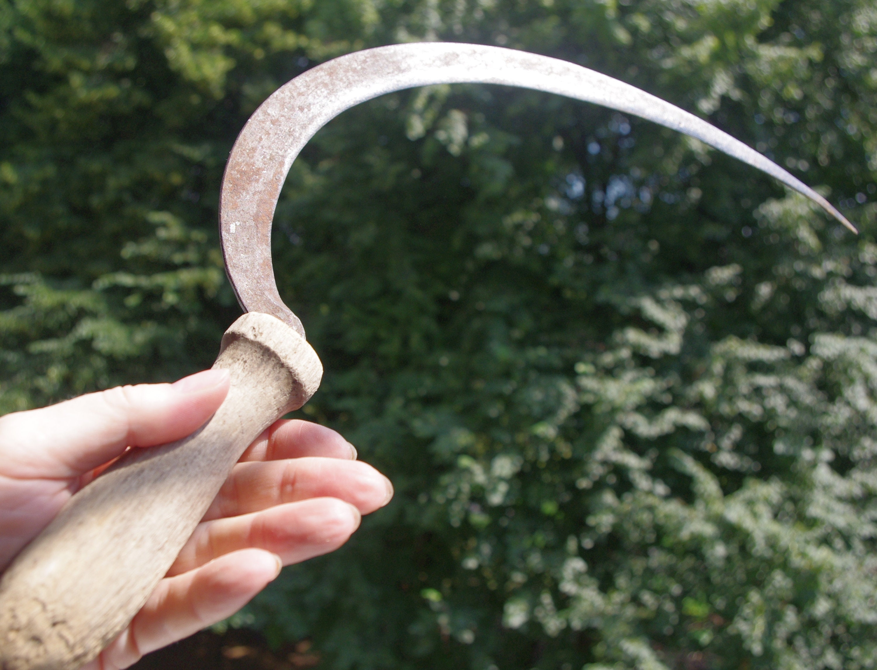 Antique old sickle agricultural tool early 20th century Etsy