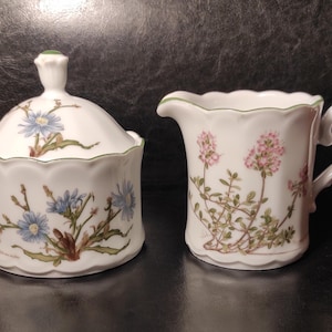Vintage German porcelain creamer and sugar bowl from the middle of the last century/ Echenbach Sugar bowl and creamer with botanical design
