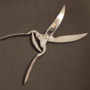 WMF Vintage kitchen scissors for cutting poultry - Scissors for cutting chicken - Germany, middle of the last century