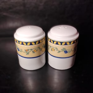 Set porcelain pepper shaker and salt shaker Tirschenreuth Porzellan Bavaria Germany /Vintage porcelain pepper shaker and salt shaker