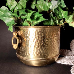 Pode incluir: Um vaso de latão martelado com uma alça decorativa, cheio de plantas verdes com folhas. O vaso tem uma superfície texturizada e uma base arredondada. Um recipiente clássico para plantas.