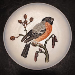 Goebel German Vintage Decorative Wall Collectible Chaffinch Bird Plate/Wonderful 70s Relief Plate for Collection, Decor or Gift