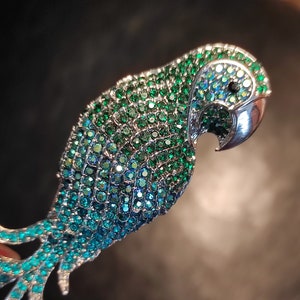 Vintage large parrot brooch - large brooch silver tone with blue and green glass rhinestones
