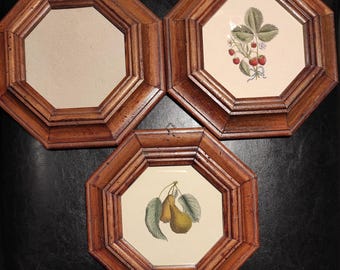 Set of three vintage wooden brown photo frames with glass and old paper botanical pictures/Wall frames made of old wood with holes from bugs