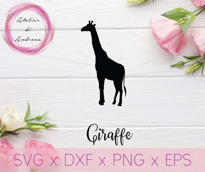 Download Cameo Vector Graphics Cut File For Cricut Giraffe Svg Digital Clipart Silhouette Giraffe Silhouette Digital Prints Prints Deshpandefoundationindia Org