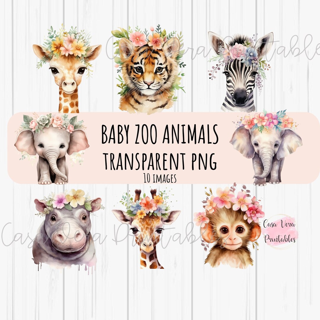 Watercolor Baby Safari 10pc PNG | Cute Boho Zoo Baby Animals ...