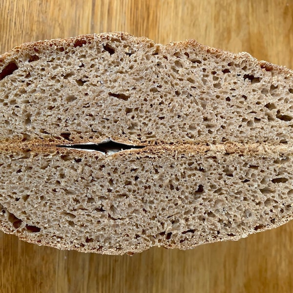 German Rye Sourdough Starter