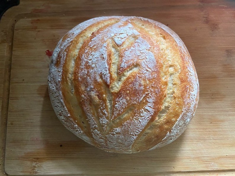 Fresh Sourdough Starter not Dehydrated Etsy Canada