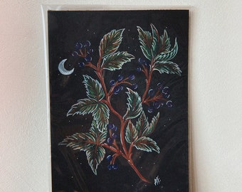 Virginia Creeper, Original Illustration