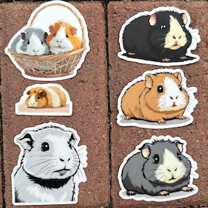 Waterproof Guinea Pig Stickers!