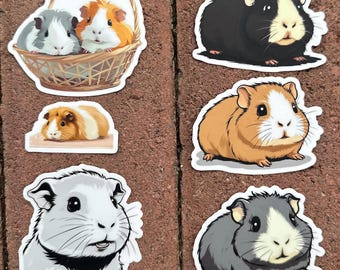 Waterproof Guinea Pig Stickers!