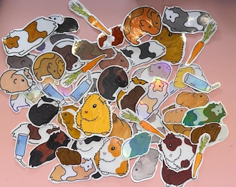 Guinea Pig Journal Stickers!