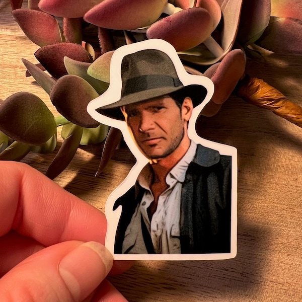 Indiana Jones | Harrison Ford | Movies | Film | Spielberg | Temple of Doom | Stickers | Procreate | Adventure |