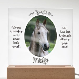 Pferd Erinnerung, Pferd Trauer Geschenk, Pferd Gedenktafel, Pferd Verlust Geschenk, Entschuldigung für Ihren Verlust, Pferd Foto Geschenk, Erinnerungsgeschenk, AP7