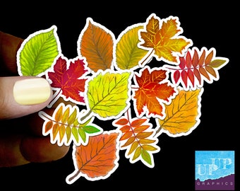 12 Fall leaves sticker pack,vinyl fall leaves,maple,birch autumn colors,laptop car stickers,hand drawn watercolor fall leaves sticker bundle