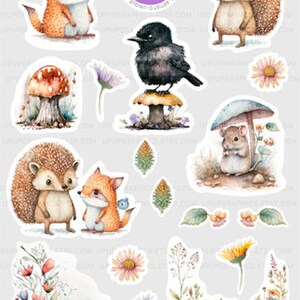 Puede incluir: Colecci&oacute;n de pegatinas de acuarela con criaturas del bosque y elementos florales. Las pegatinas incluyen un zorro, un erizo, un p&aacute;jaro, una seta y flores en tonos naranja, marr&oacute;n y verde.