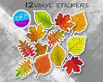 12 Fall leaves sticker pack,vinyl fall leaves,maple,birch autumn colors,laptop car stickers,hand drawn watercolor fall leaves sticker bundle