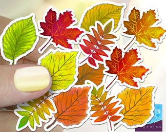 Paquete de 12 mini pegatinas de hojas, sellos de vinilo para sobres con hojas de otoño, colores otoñales de arce y abedul, pegatinas de hojas de otoño dibujadas a mano en acuarela.