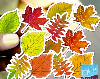 Fall leaves sticker pack, maple leaves stickers, 12 vinyl fall leaves laptop stickers, hand drawn leaves sticker, watercolor autumn  decals