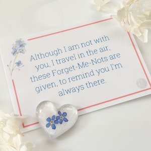Vergeet-mij-nietje condoleancecadeau, aandenken pocket knuffel token met sentimenteel gedicht, sorry voor je verlies sympathie cadeau, cadeau sterfgeval