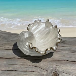 May include: A pearlescent white seashell-shaped bowl with a gold-colored trim, resting on a piece of driftwood. The bowl's interior has a swirling pattern. The background features a beach with turquoise water.