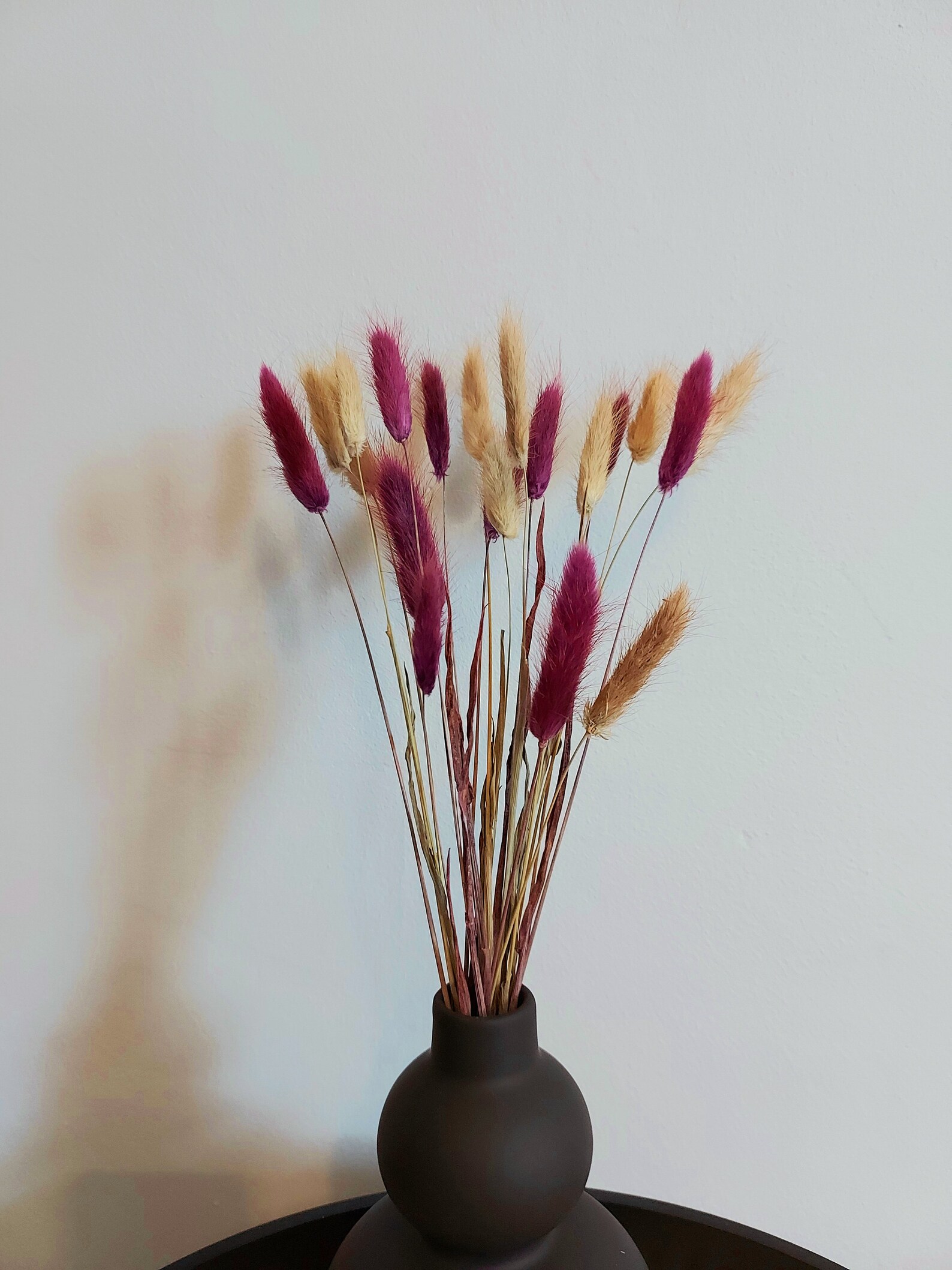 Queues de lapin naturelles et prunes fleurs séchées bouquet Etsy