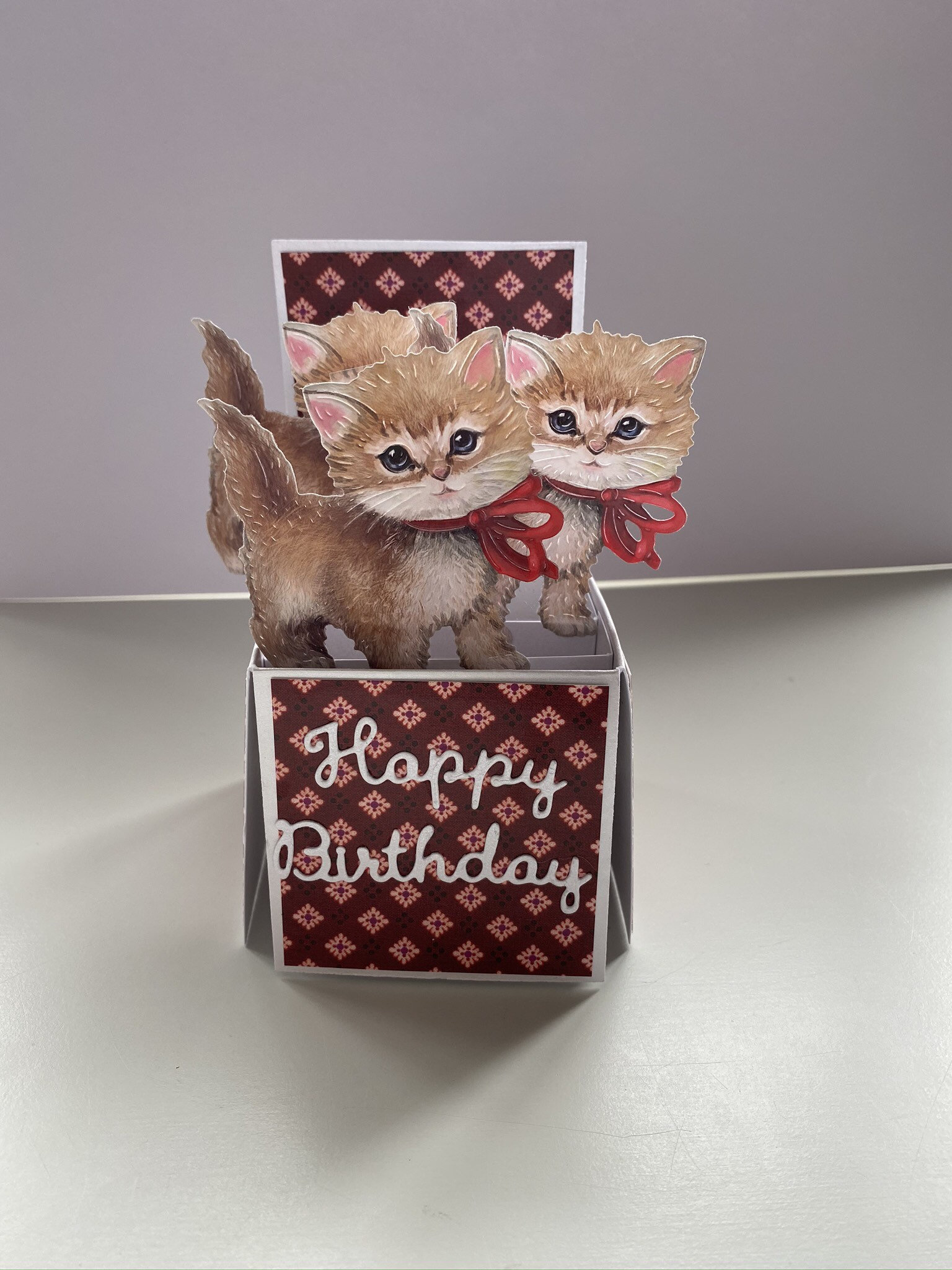 Cat pop up card Etsy