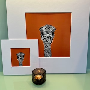 Olivia The Ostrich Print 50x50cm