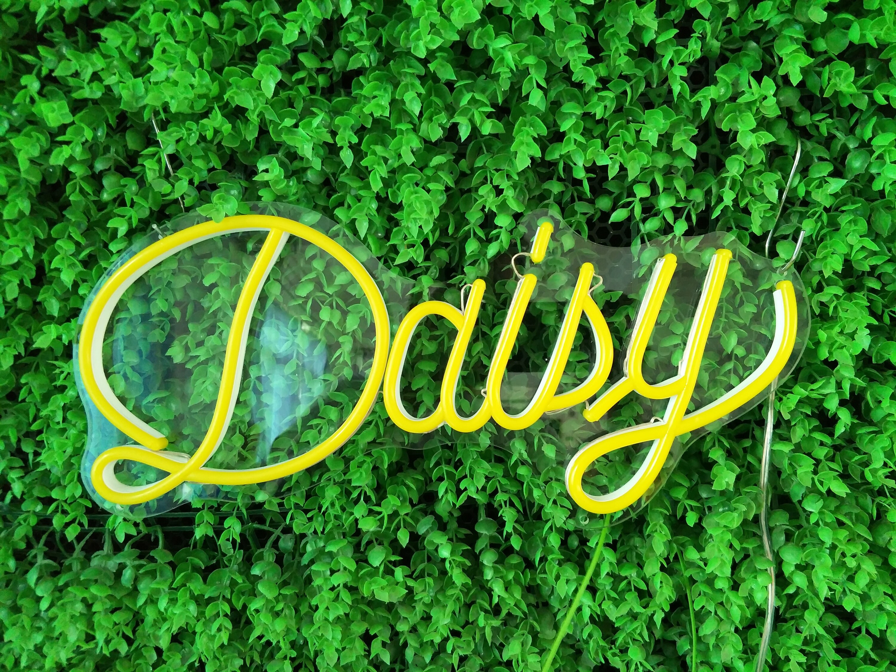 Daisy Name Sign Custom Name Neon Sign Wedding Party Customize Etsy UK